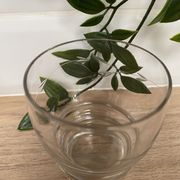 Set of 6 engraved glass wine glasses