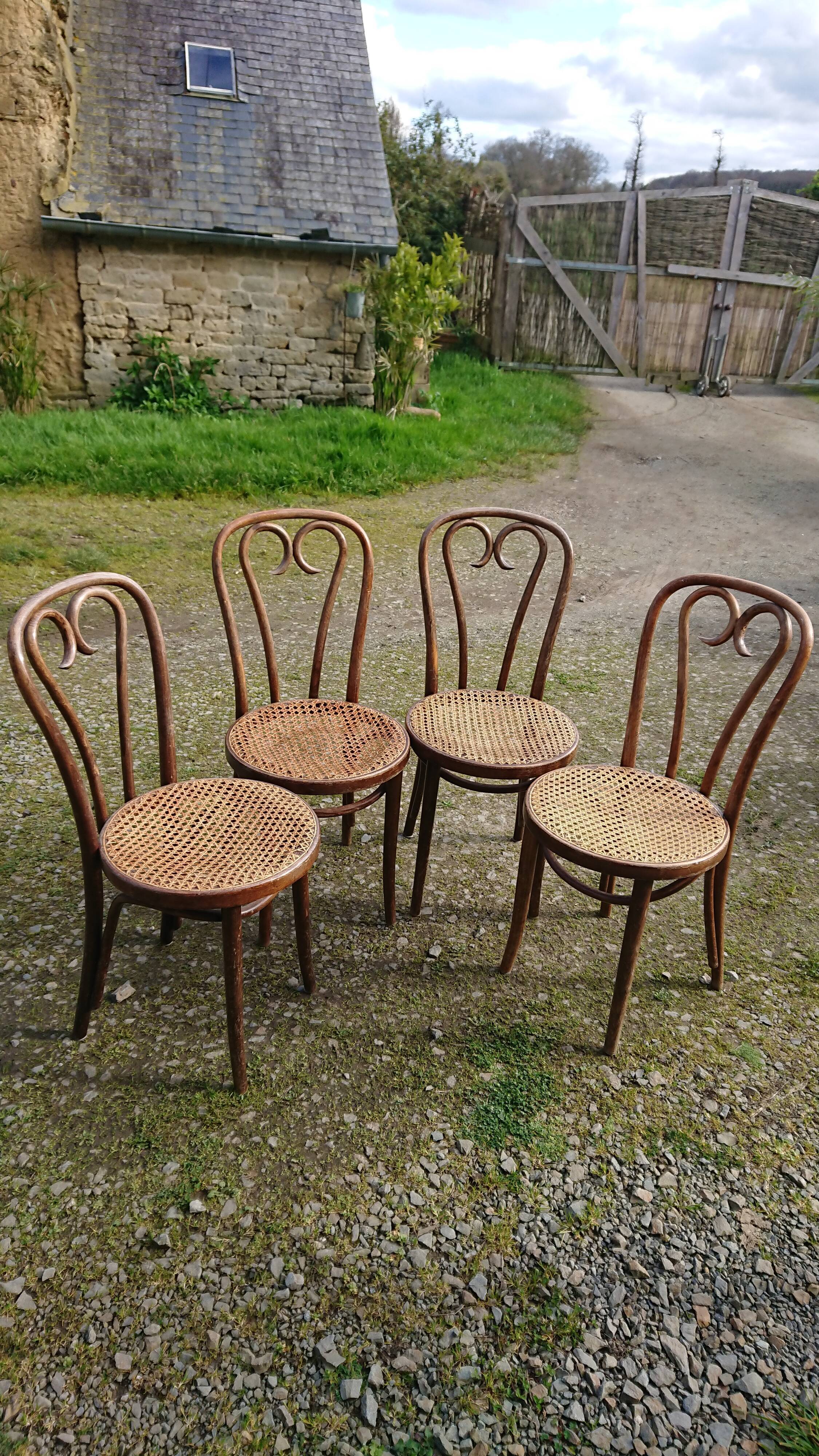 Suite 4 thonet chairs