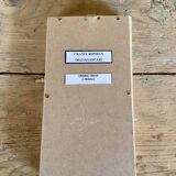 Butterfly frame urania ripheus - urania leilus