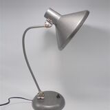 Articulated lamp