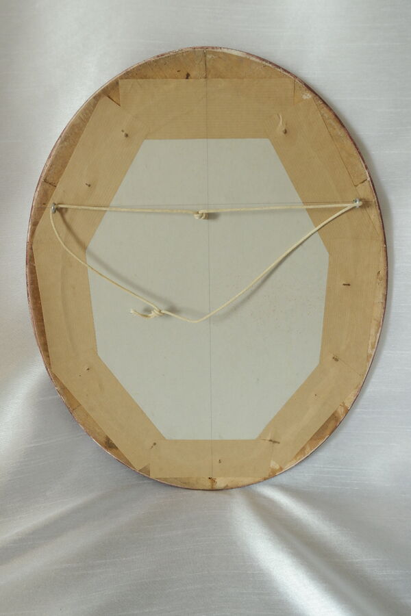 Planche botanique encadrée Rosier vintage