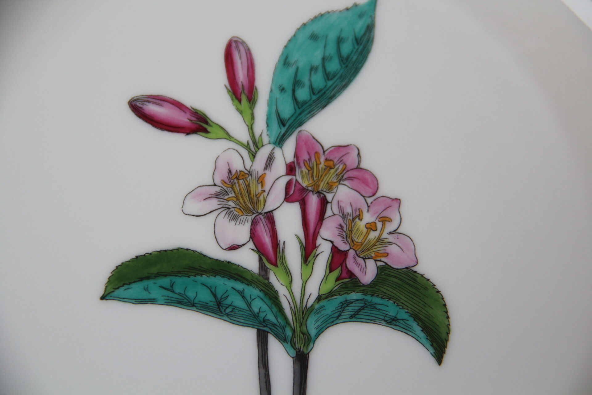 6 NBD Limoges dessert plates illuminated by hand