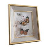Frame 3 butterflies and dried flowers