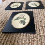 Set of three frames medallions
