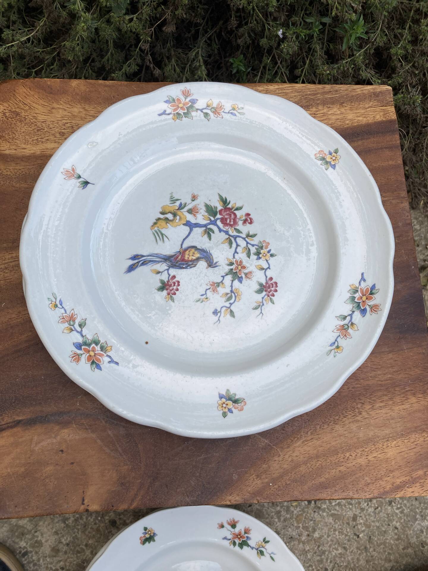Sarreguemines plates paradise birds / Phoenix