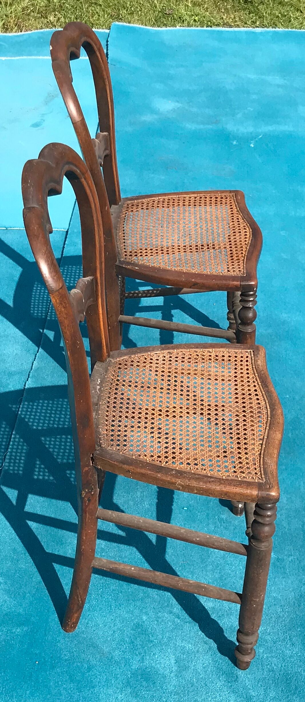 Pair of cane chairs