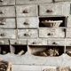 Ancien meuble de quincaillerie, meuble de métier