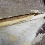 Victorian taxidermy toy horse, late 19th century.