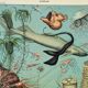 Old engraving 1898, Ocean (deep and abyss), fauna • Original and vintage lithograph
