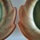 Two biomorphic bowls Salins France moss green 1950s