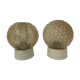 Bubble glass lamps 1970