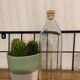 Antique glass bottle with a capacity of 1 litre and its beige cap - in very good condition!
