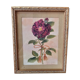 La rose toscane illustration vintage