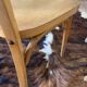Set of three Baumann chairs
