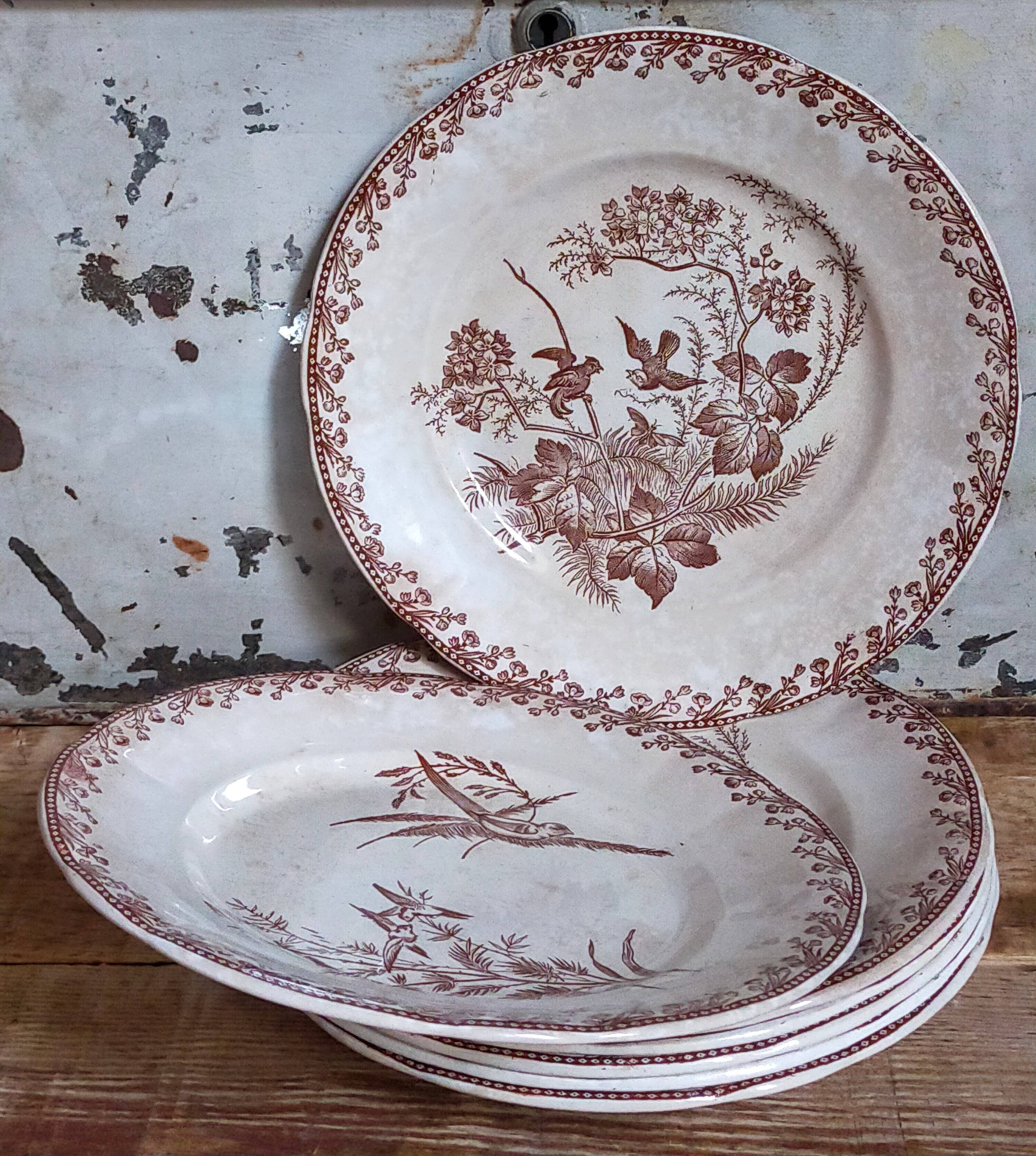 Seven iron earth dessert plates with birds ffPexonne late 19th century