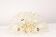 Star Ceiling Light in Brass and Crystal by Emil Stejnar, Austria, 1960s