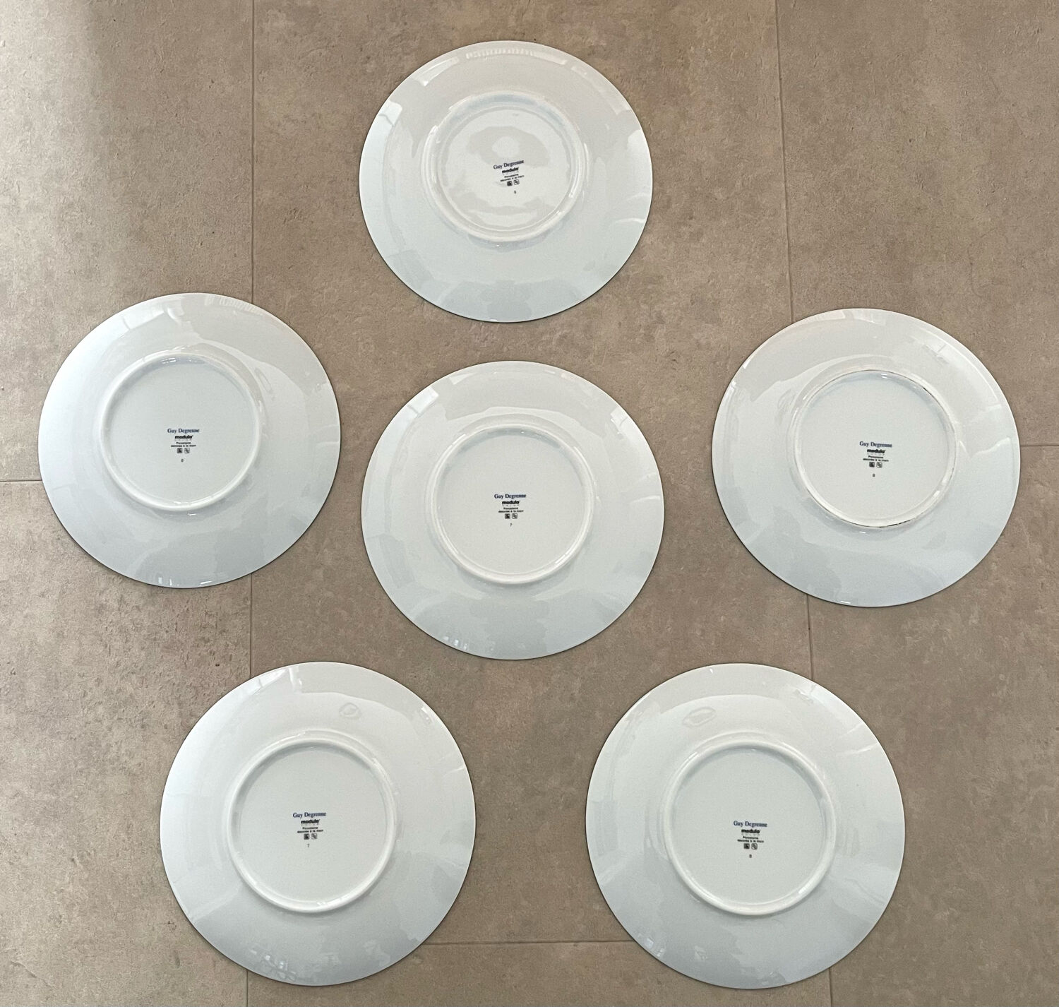 6 Guy Degrenne dessert plates
