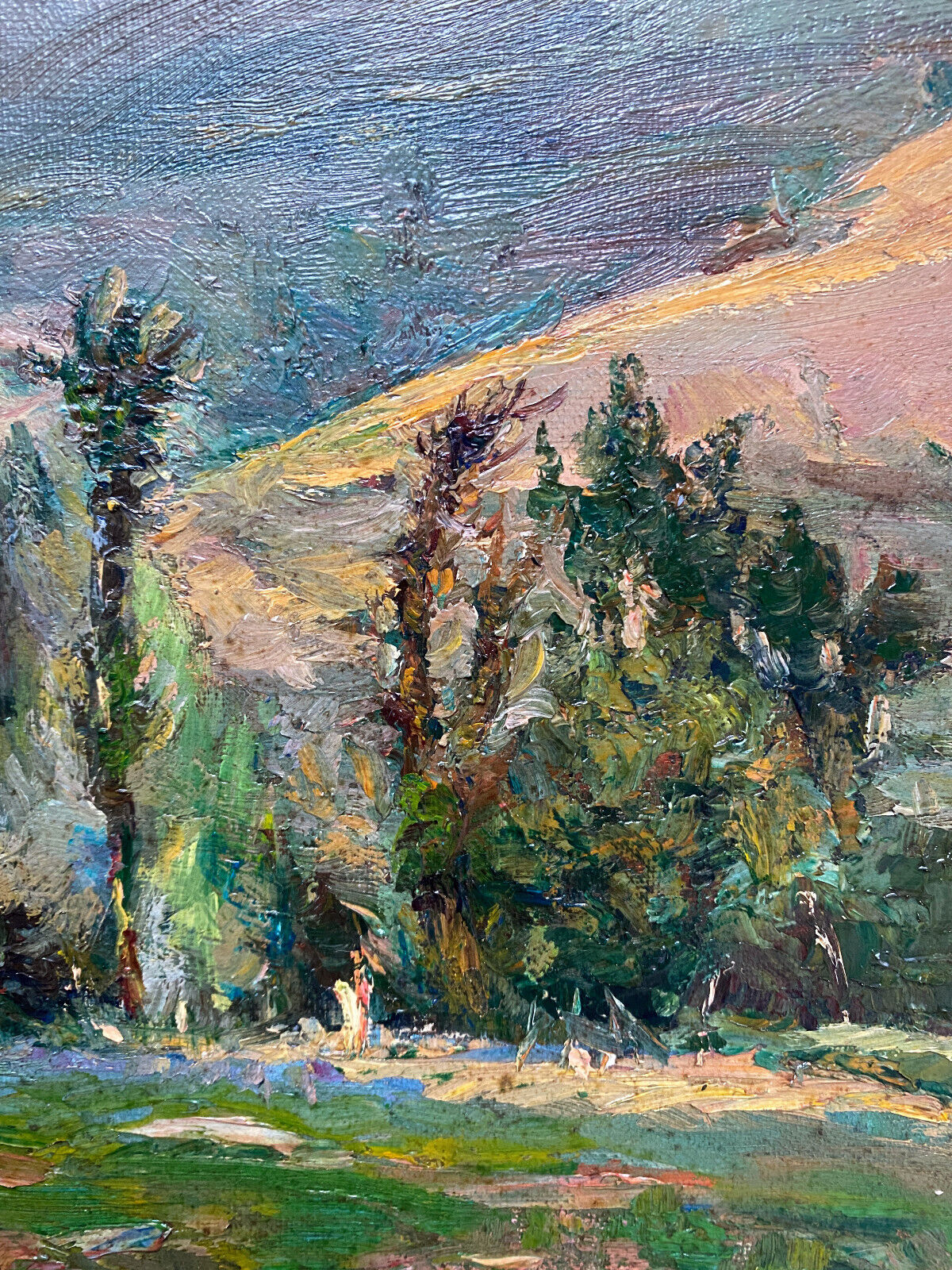 Painting "Hilly landscape" 1961 signed (to decipher) + frame