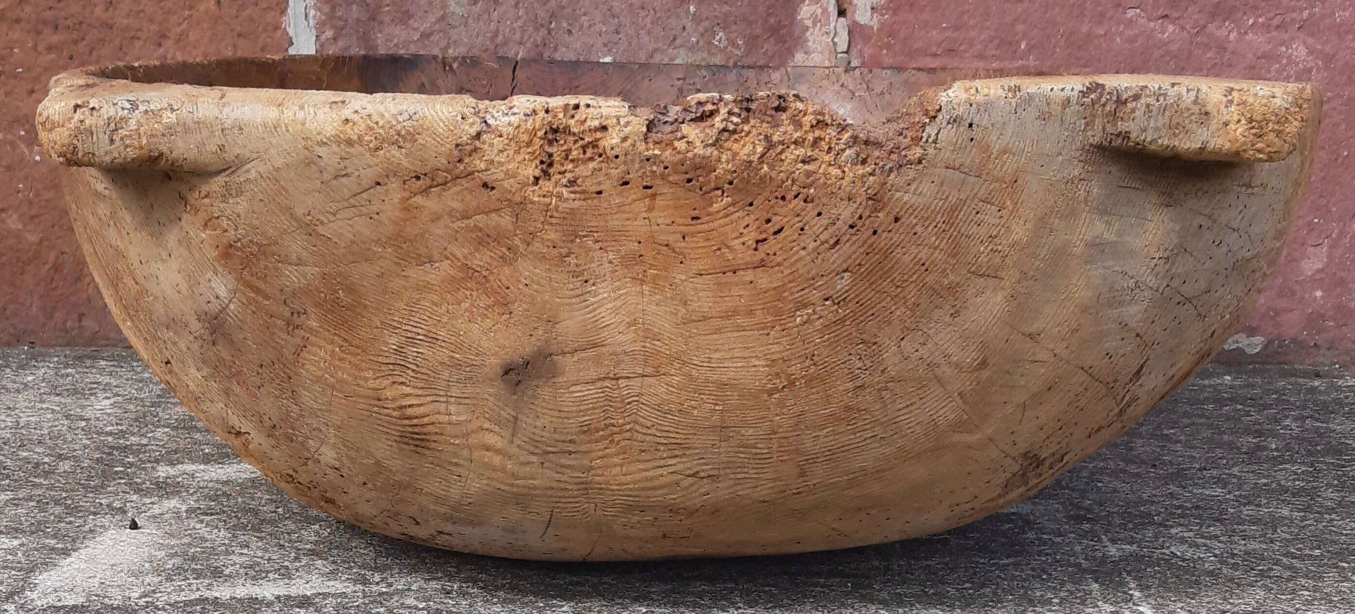 Old XXL planter or solid wood planter.