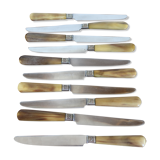 Set of 10 horn knives
