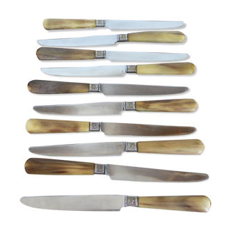 Set of 10 horn knives