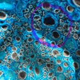 Eruptive ceramic dish from the 60s