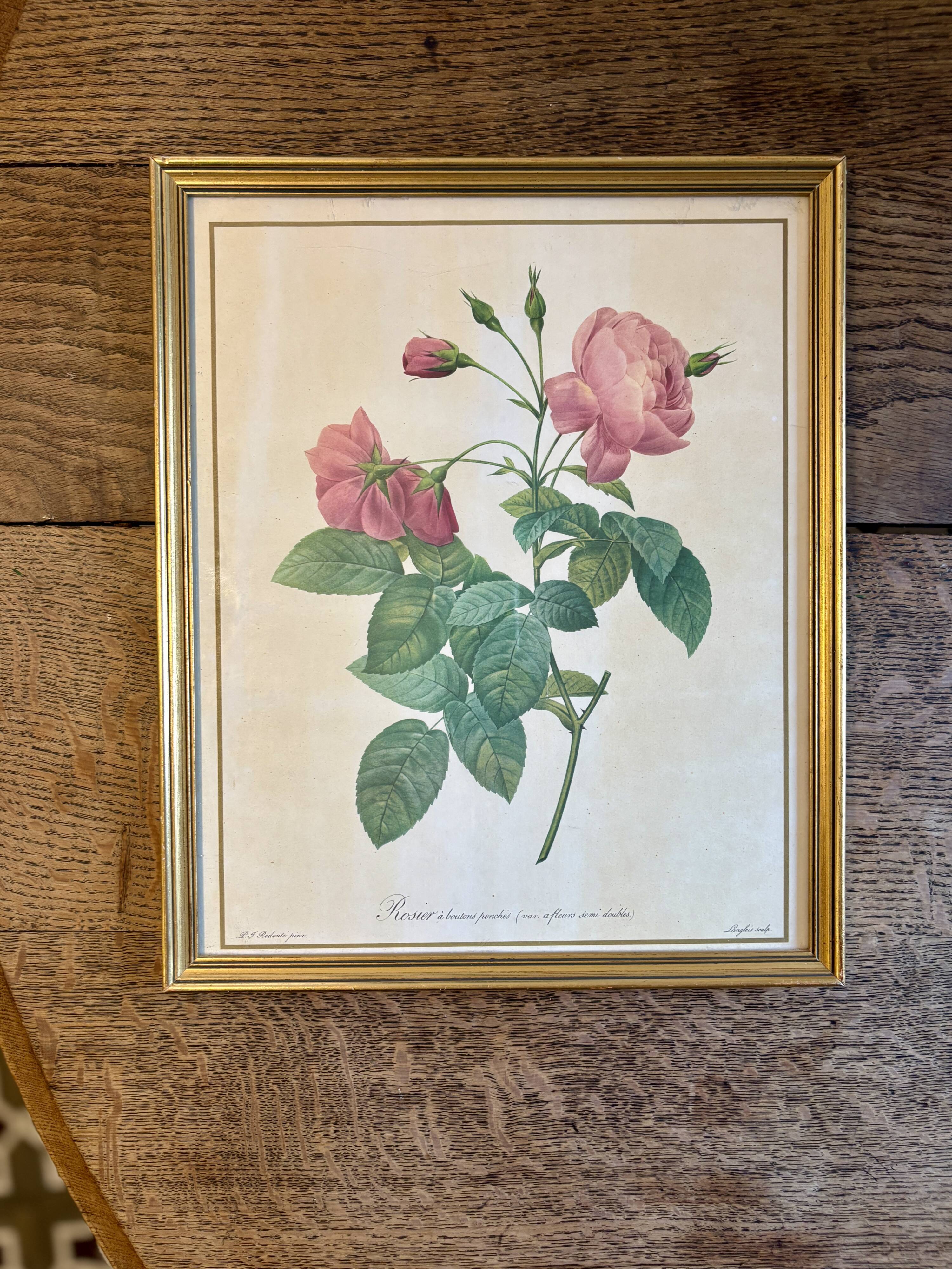 Old frame Redouté roses