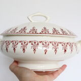 Pretty Red Iron Earth soup