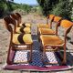 Chaises traineau Baumann