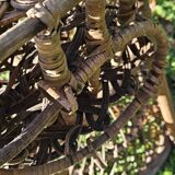 Emmanuelle armchairs