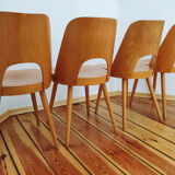 Ensemble de quatre chaises par O. Haerdtl pour Ton Tchécoslovaquie, années 1960