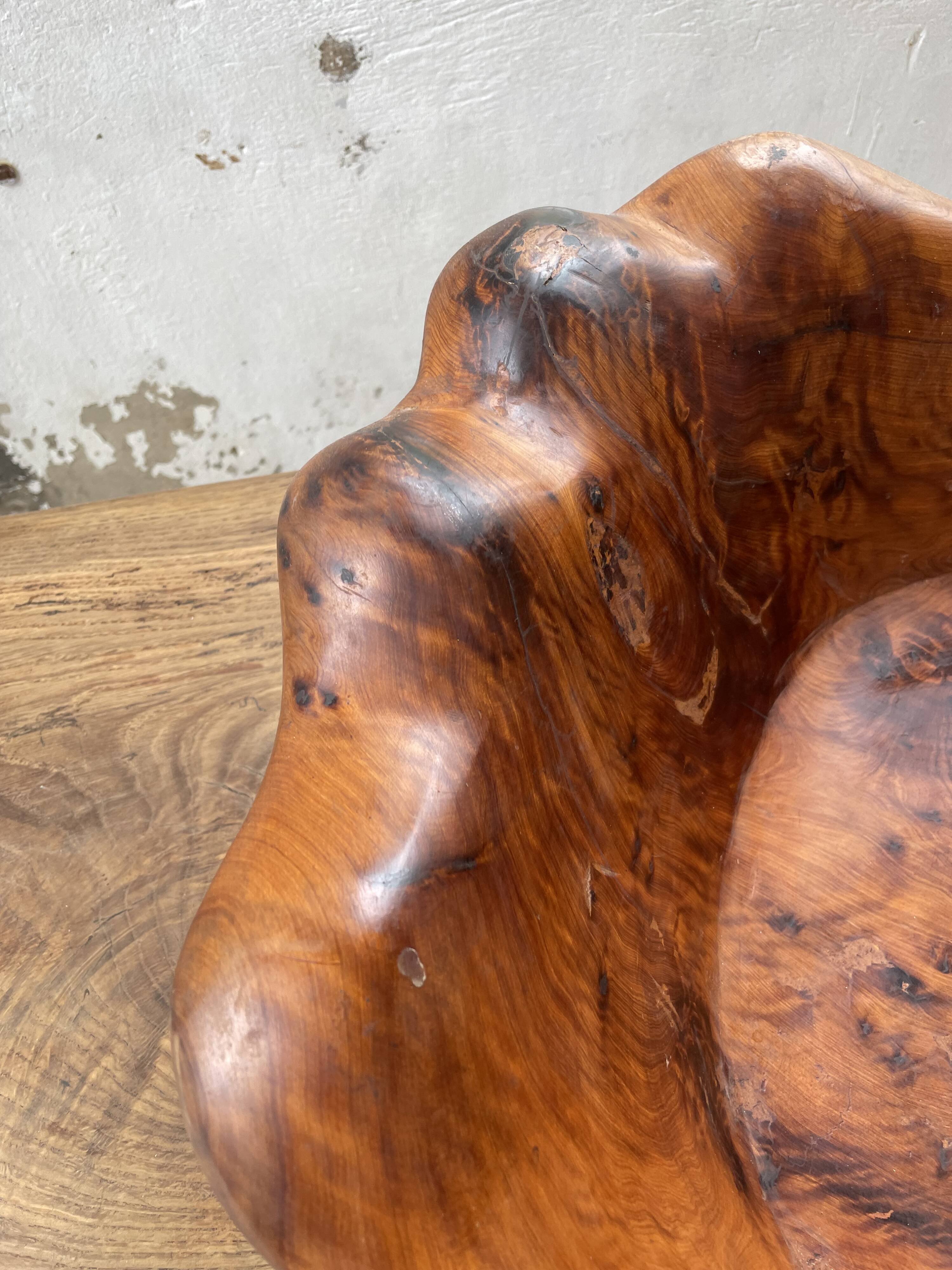 XL thuja root wooden dish