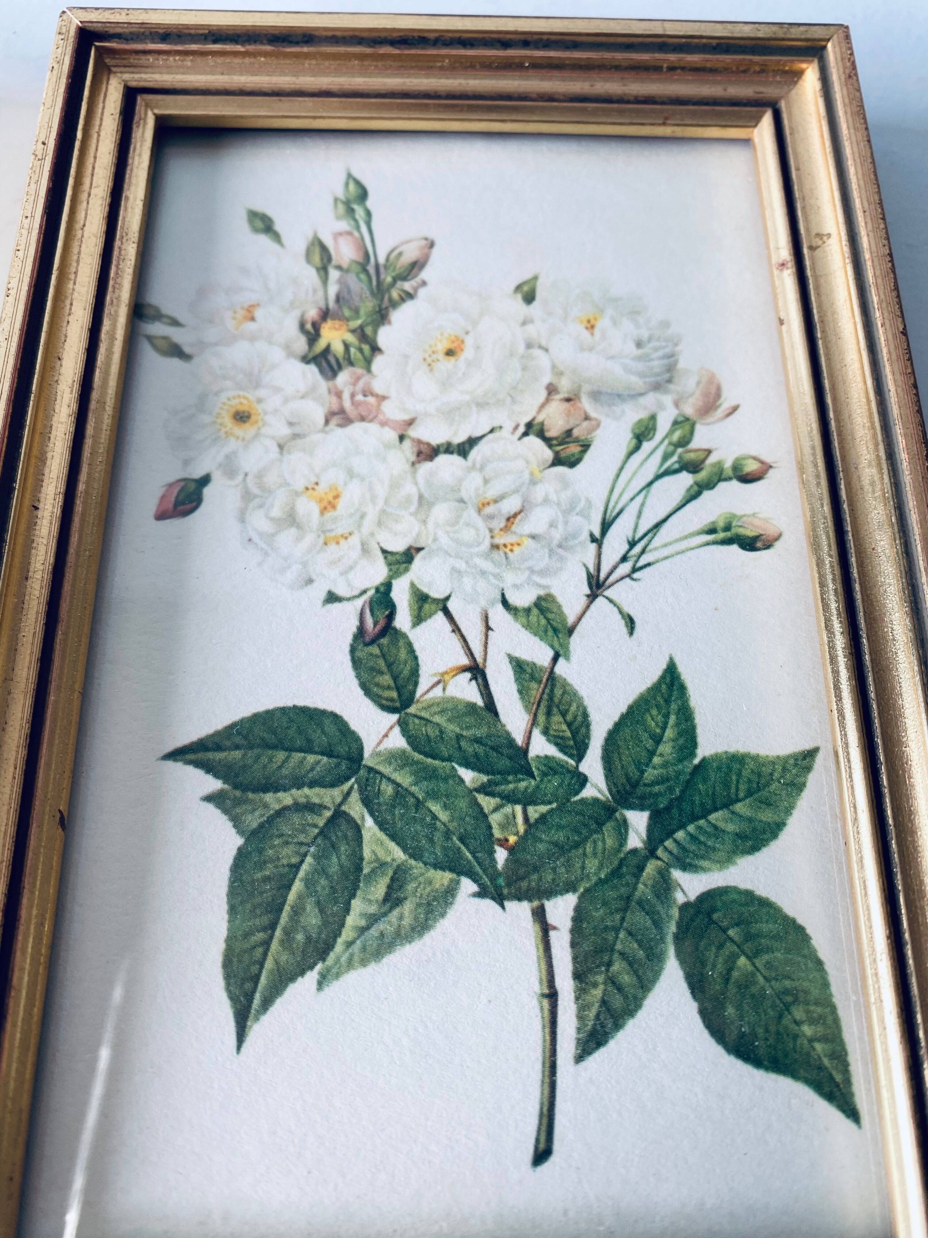 Duo of framed lithographs