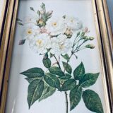 Duo of framed lithographs