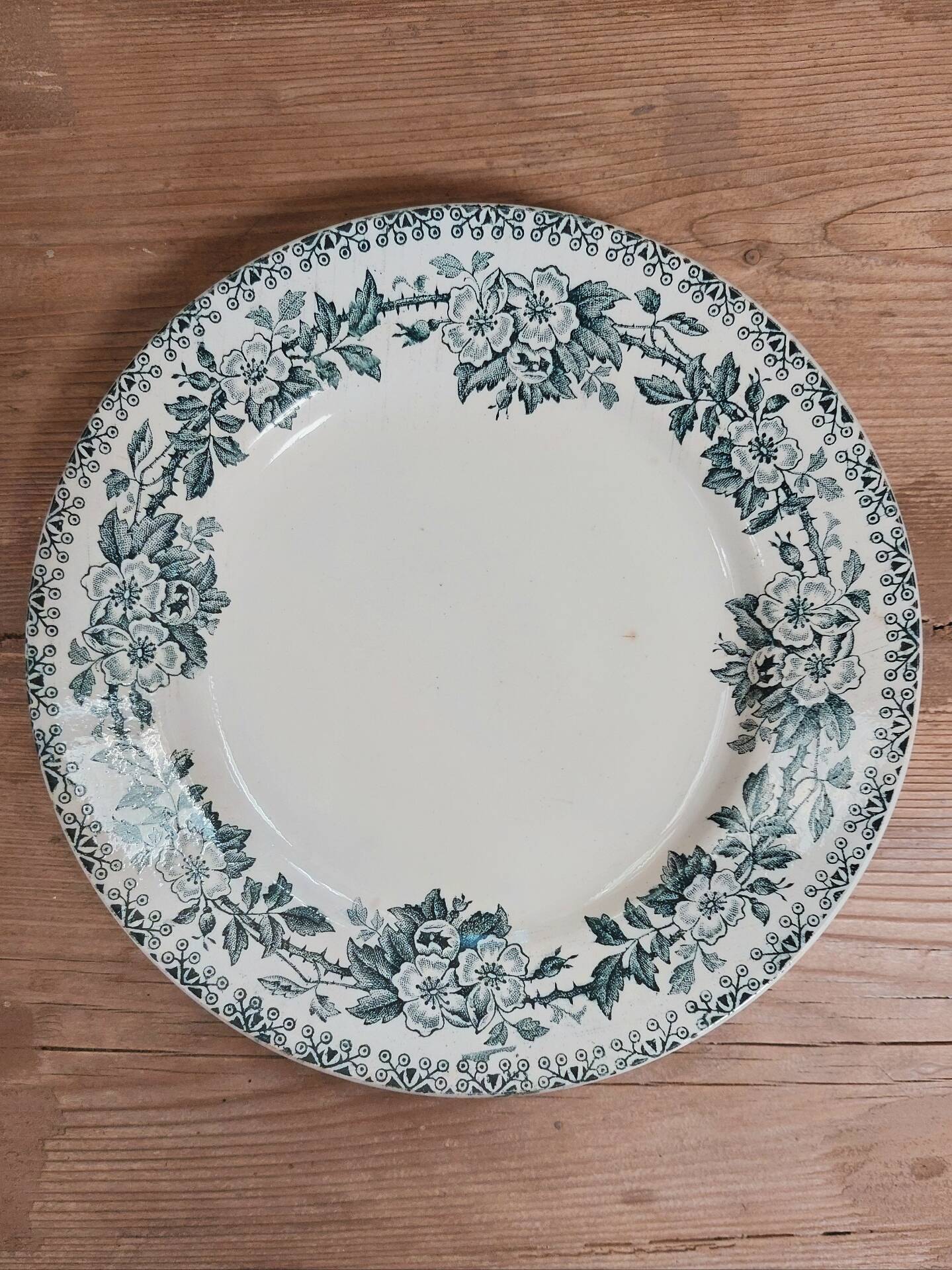 6 flat plates in ironstone - Guadeloupe model