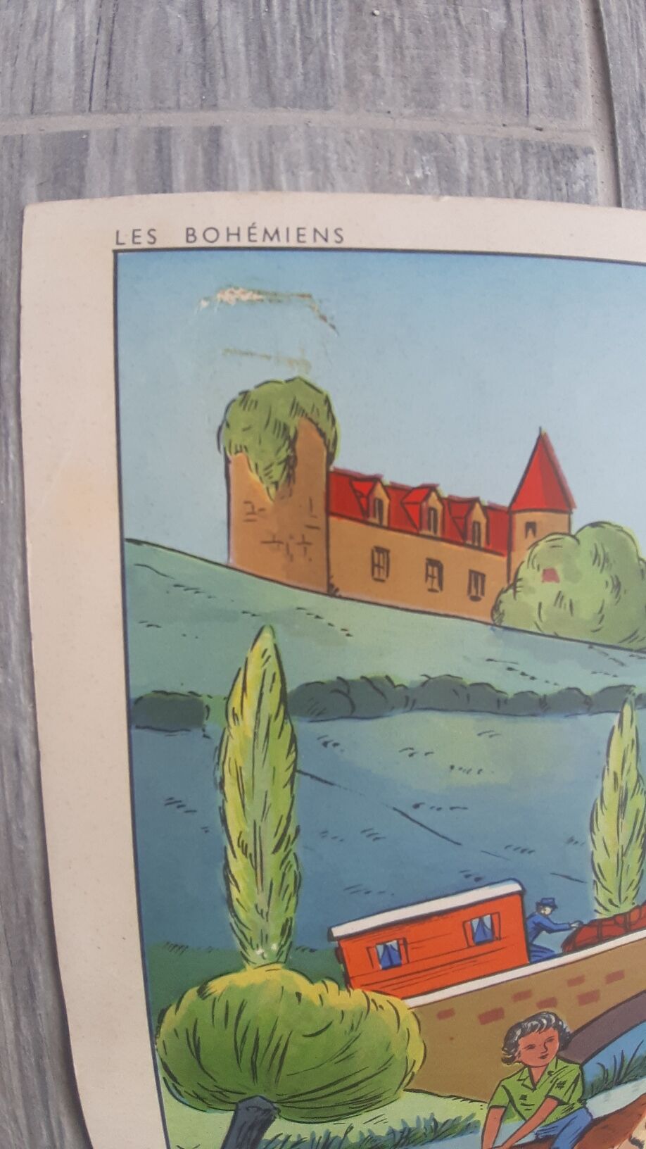 Educational school poster