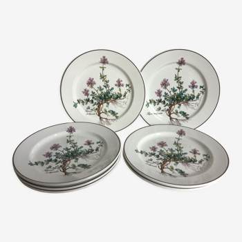 Villeroy & Boch Botanica 7 assiettes à dessert porcelaine
