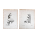 Lot de deux Lithographies par Vien de 1755