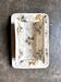 Lunéville asparagus dish in polychrome and gilded ironstone