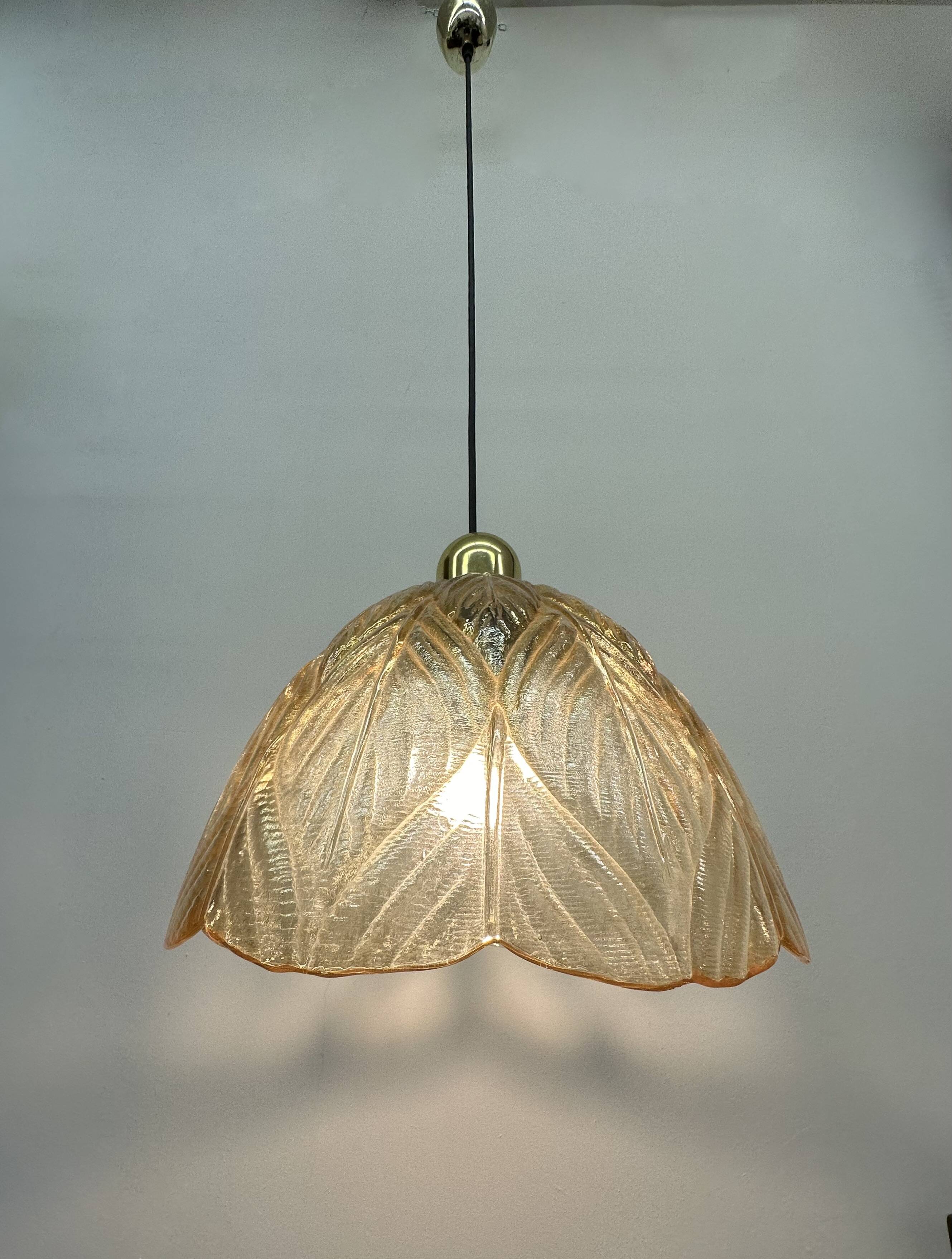 Peil & Putzer glass leaf hanging lamp , 1970’s