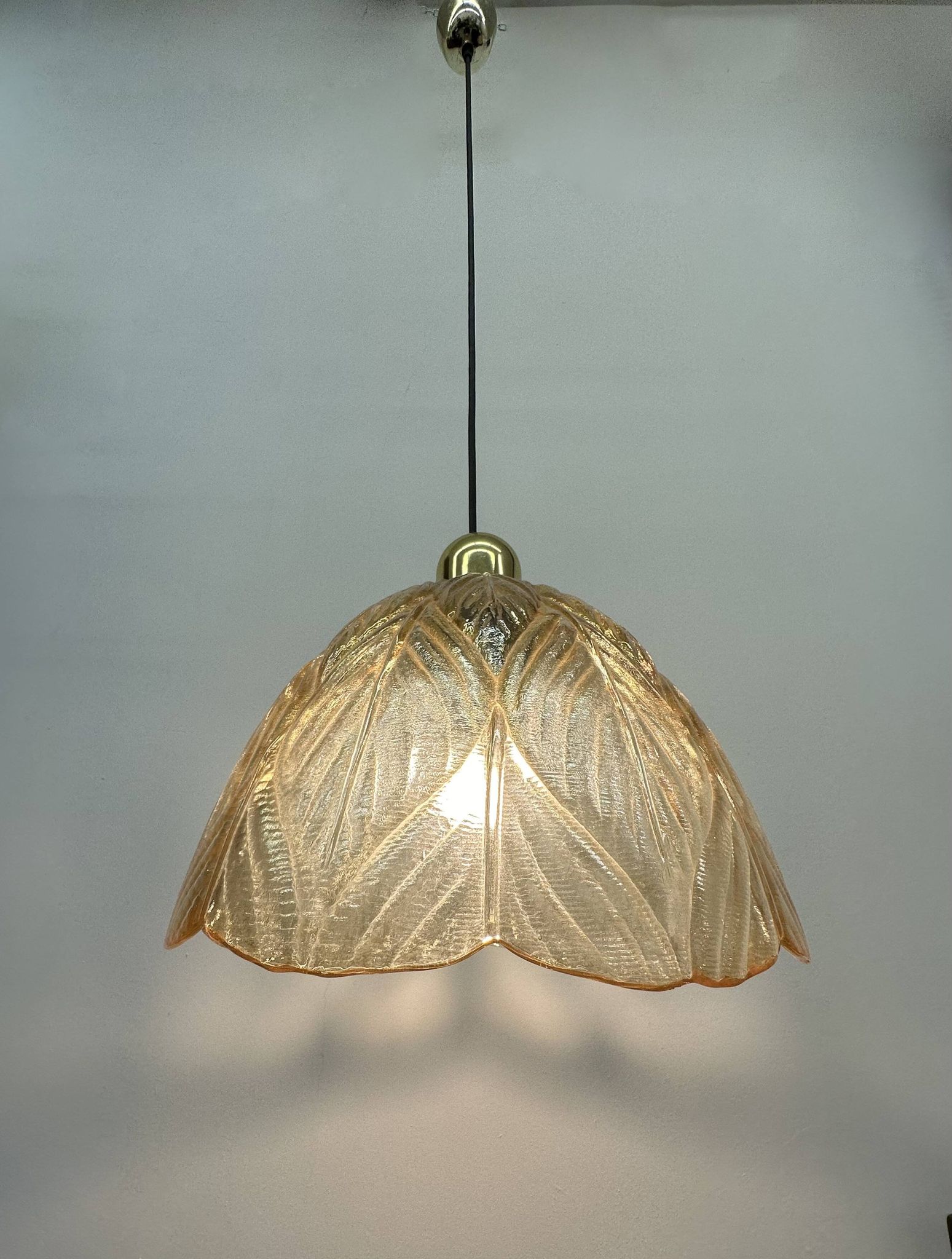 Peil & Putzer glass leaf hanging lamp , 1970’s