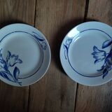 Assiettes plates fleur bleue en porcelaine St Amand dp 092284