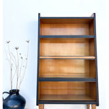 Vintage bookcase