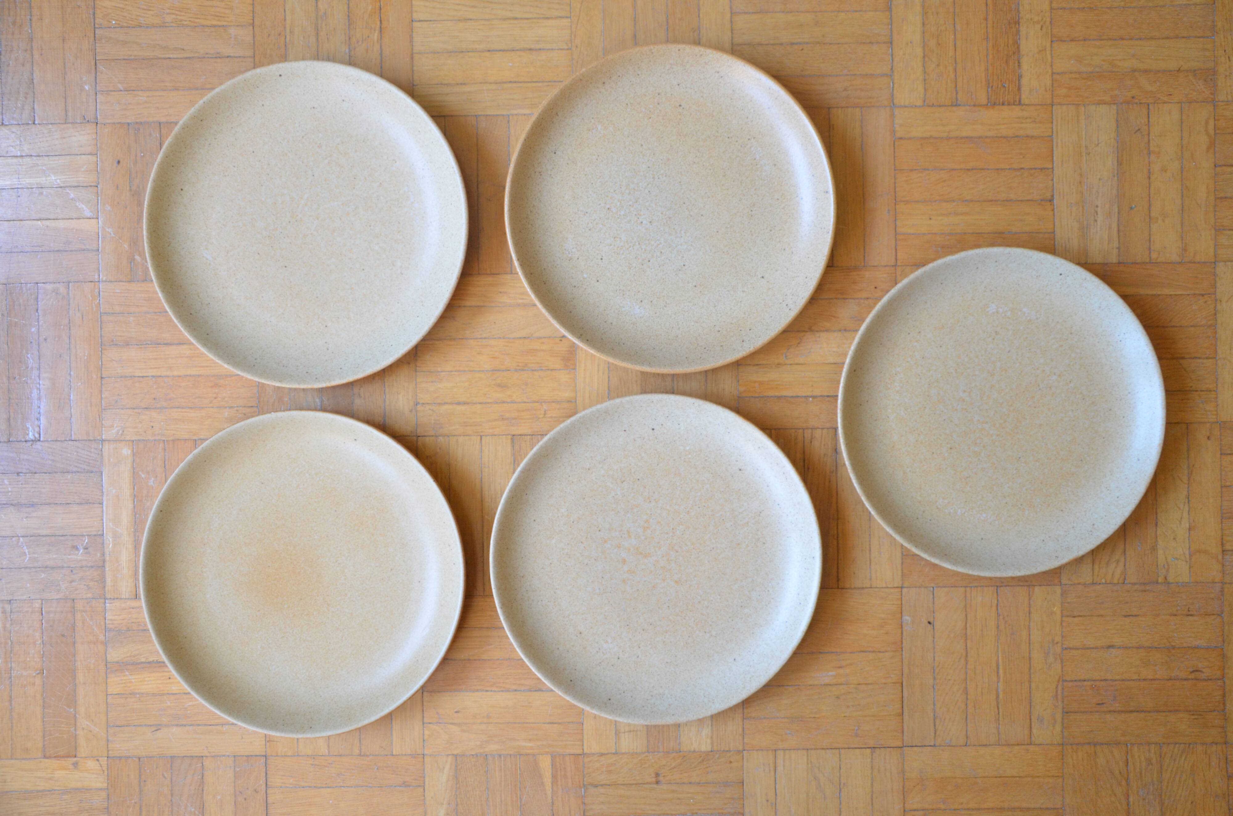 Lot de 5 assiettes plates en grès