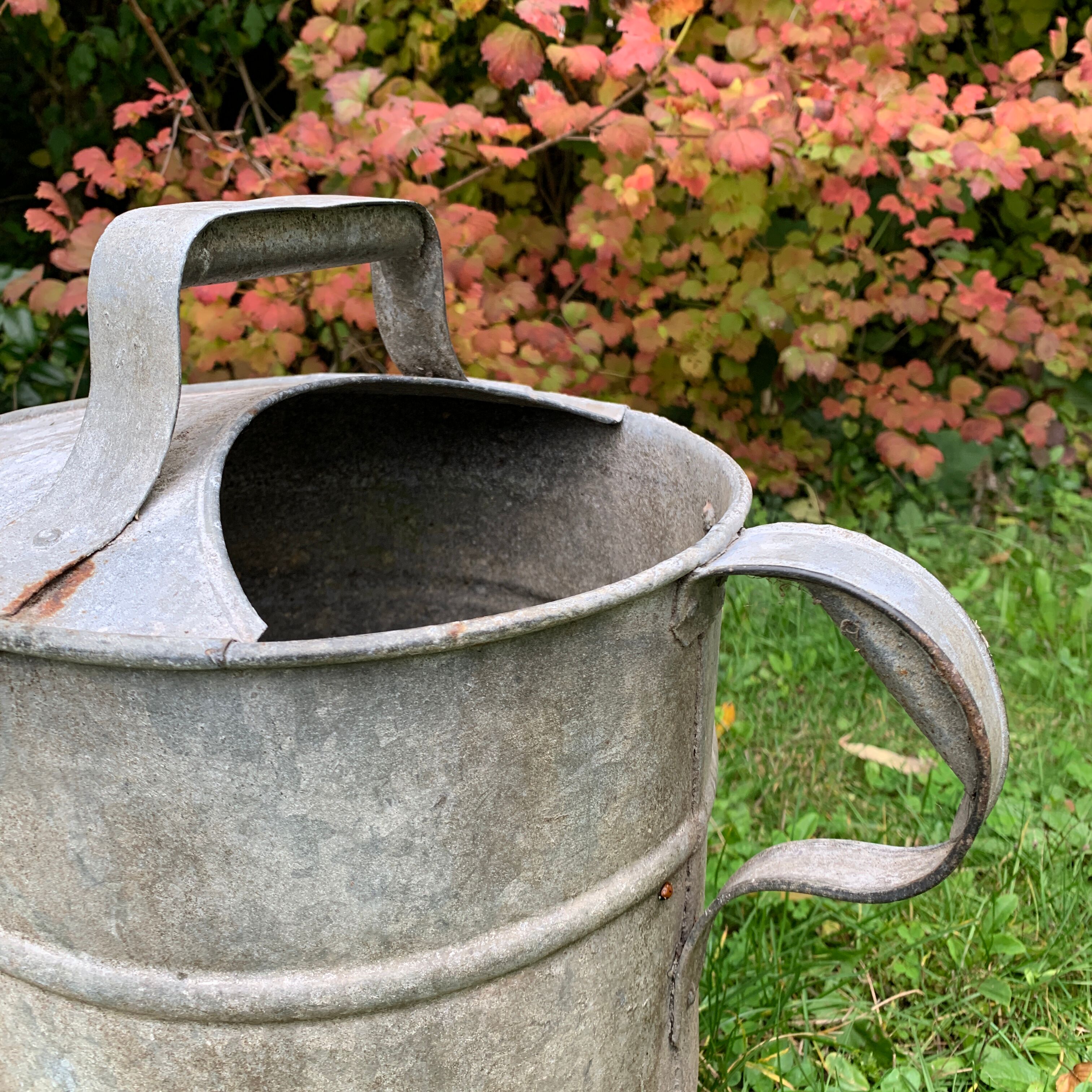 Zinc watering can