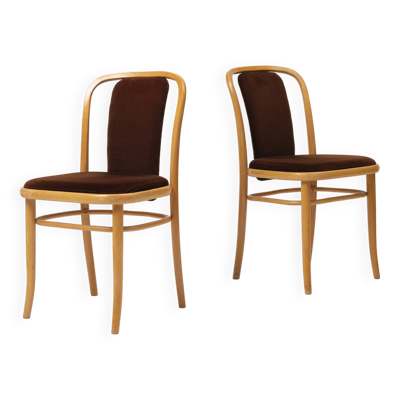 Suite de 2 chaises en bois courbé et velours marron par TON