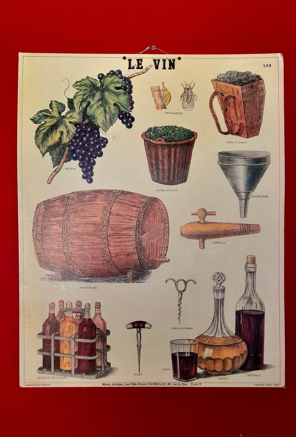 Educational poster Deyrolles Le Vin.