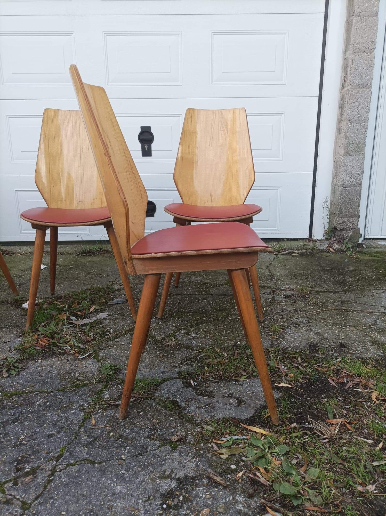 6 vintage Baumann chairs by Max Bill 50s