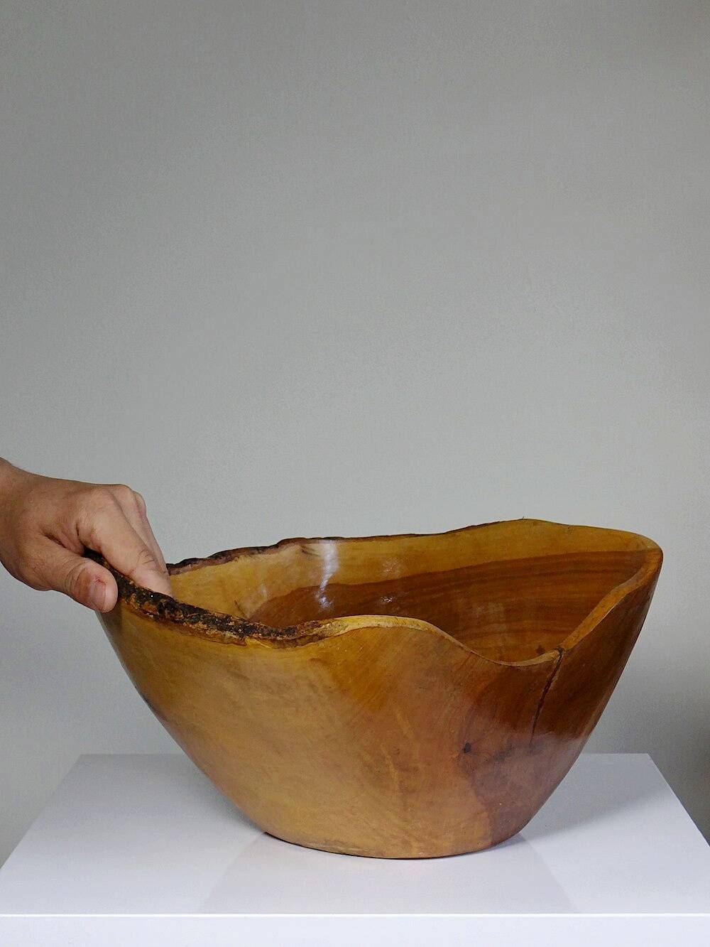 Large olive wood bowl Riviera brutalist craftsmanship circa 1950