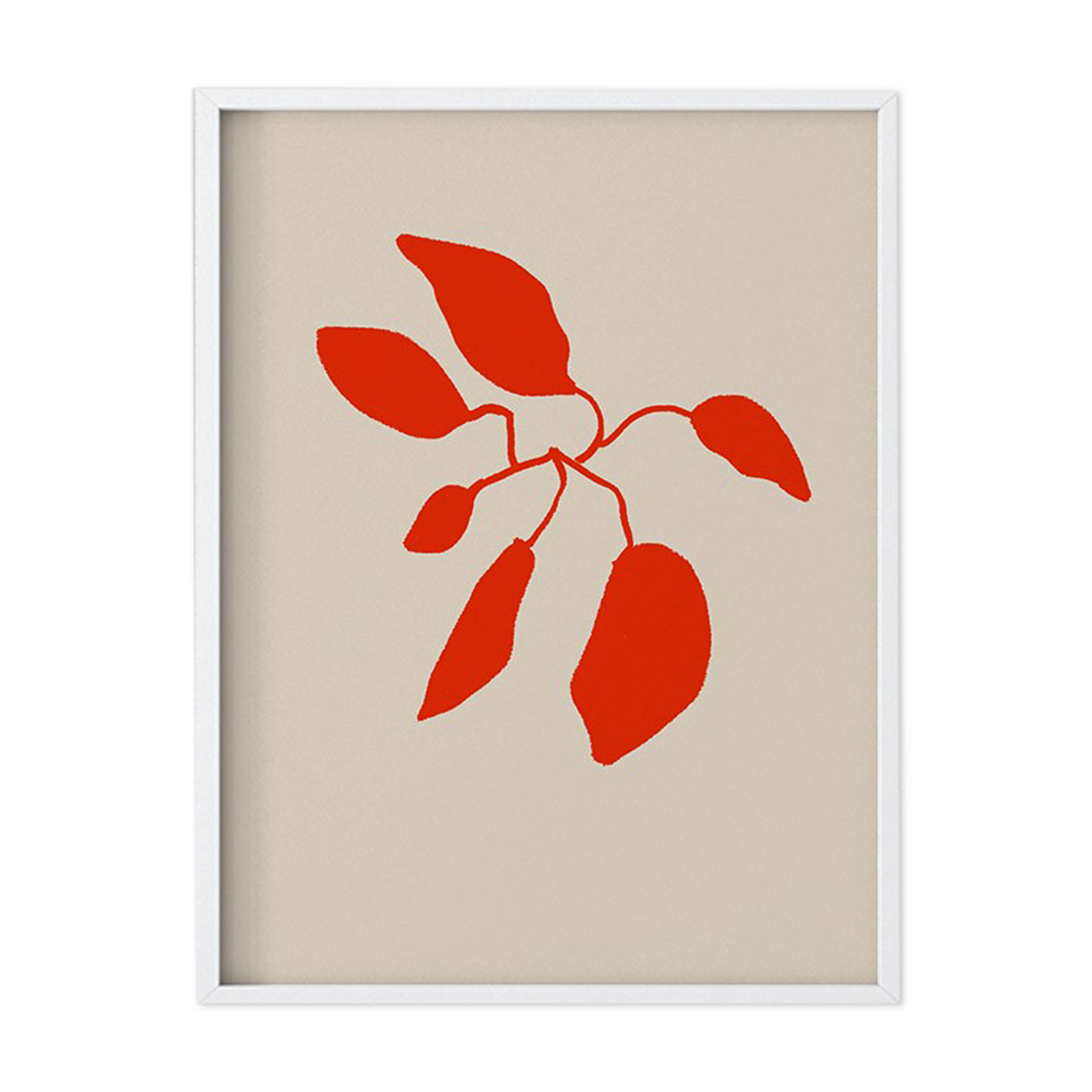 Botanical illustration giclee print